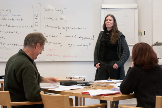 En person står och föreläser. Framför sitter två personer och lyssnar.