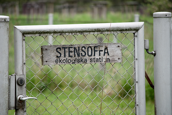 En nätgrind med skylten Stensoffa ekologiska station.