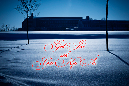 En vinterbild med texten God Jul och Gott Nytt År. I bakgrunden syns några hus i siluett.