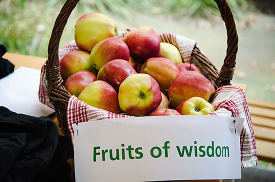 En korg med äpplen och texten Fruits of wisdom.
