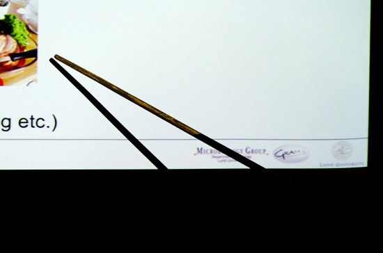 En pekpinne och dess skugga mot en projektorduk.