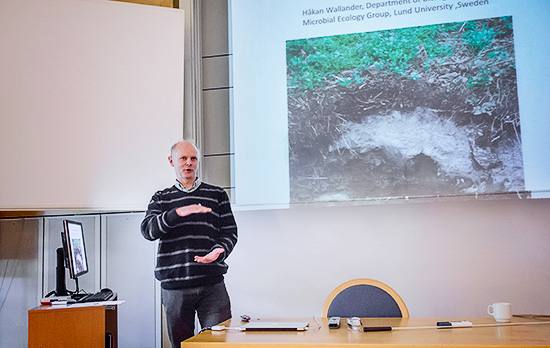 En person står längst fram i en föreläsningssal och gestikulerar.