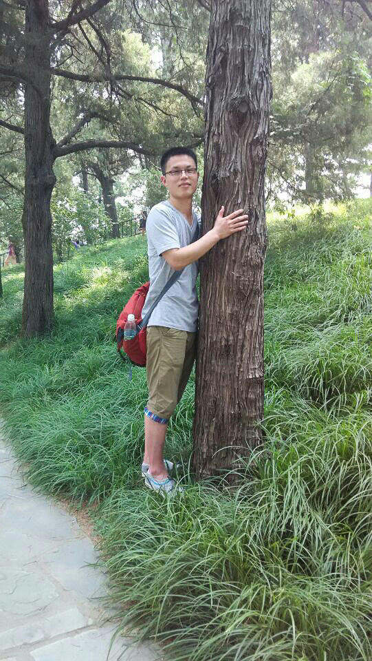 A person is hugging a tree.