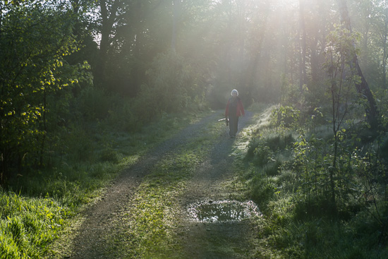 Morgonsolstrålar lyser ner på en person som går på en skogsväg.