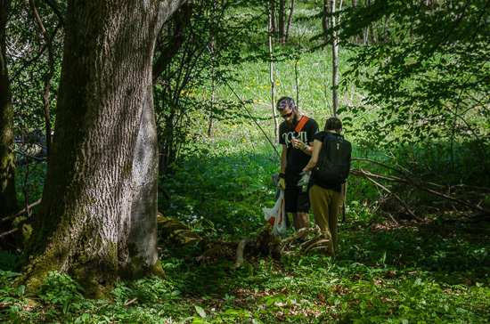 Två personer går runt i en skogsdunge och ser ut att leta efter något.