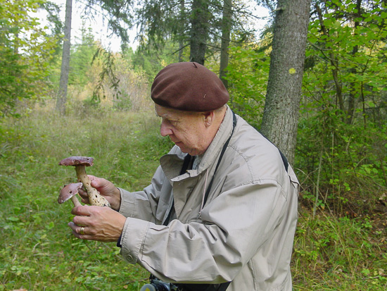 En person står ute i skogen och håller i två svampar.