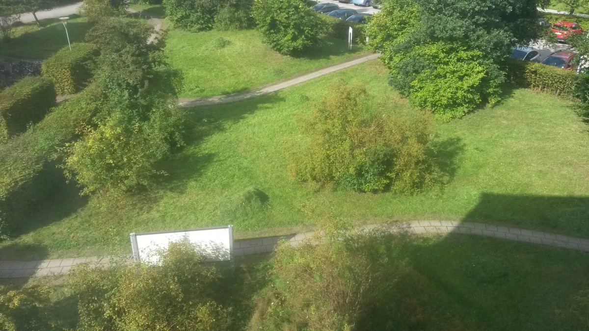 Slaget gräs i högar sett uppifrån. Foto taget uppifrån Ekologihuset.
