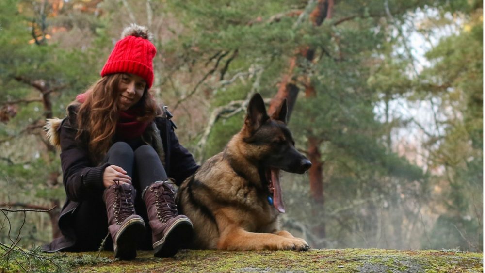 A person is sitting with a dog in the forest. Photo.