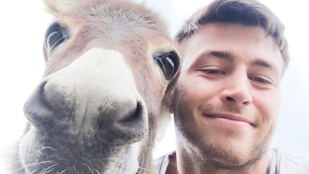 A person and a donkey. Photo.