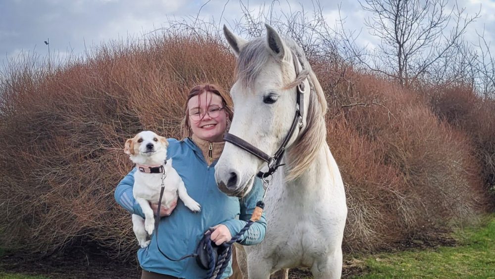 A person, a dog and a horse. Photo.