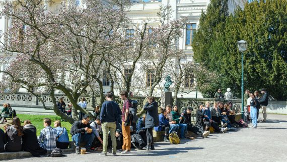 A lot of people are sitting in the sun. Photo.